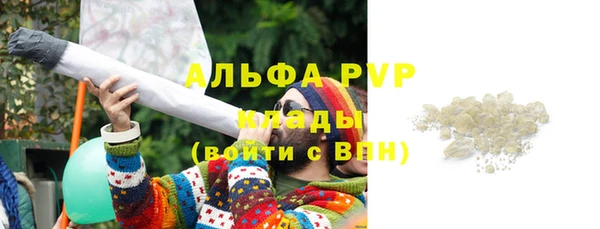 индика Ладушкин