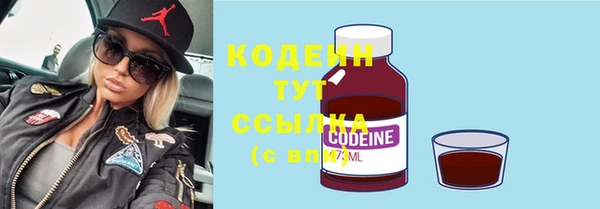 индика Ладушкин